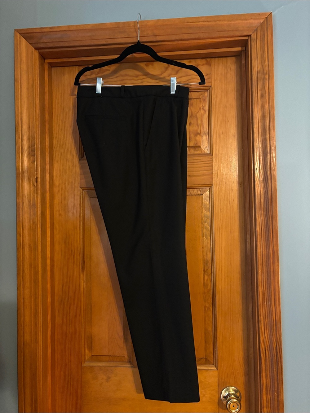 Banana Republic Dress Pants - Tailored Flat Front